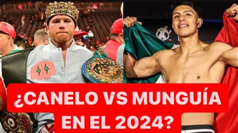 canelo vs munguia wiki